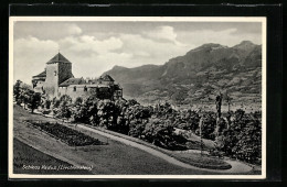 AK Vaduz, Schloss Vaduz Mit Serpentinen-Strasse  - Liechtenstein