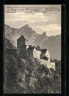 AK Vaduz, Schloss Mit Blick Auf Den Rappenstein  - Liechtenstein