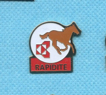 Rare Pins Cheval Rapidite Z130 - Animals