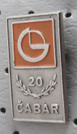 DIP Cabar 20 Years Wood Industry Forest Menagement Croatia Ex Yugoslavia Pin - Trademarks