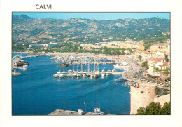 20 CALVI  - Calvi