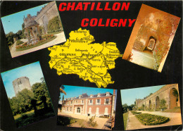 45 CHATILLON COLIGNY MULTIVUES - Chatillon Coligny