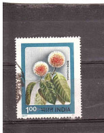 INDIA 1977 KADAMBA - Other & Unclassified