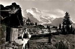 Bei Wengen, Jungfrau (6262) * 3. 8. 1964 - Wengen