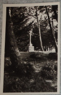 56 Morbihan Carte Photo Ile Aux Moines  Le Calvaire Du Bois D'amour - Ile Aux Moines