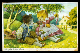 187 - Lot De 6 Cartes - ANIMAUX HABILLES - CHATS - Voir Légende Sur La Carte - Dressed Animals