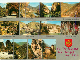 48 GORGES DU TARN  - Gorges Du Tarn