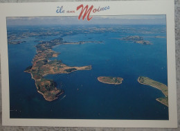 56 Morbihan CPM Ile Aux Moines La Pointe De Nioul L'ile Brannec L'ile Glovian - Ile Aux Moines