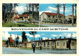 57 CAMP DE BITCHE - Bitche