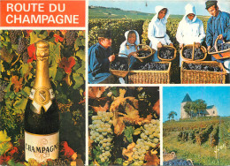 51  ROUTE DU CHAMPAGNE  - Altri & Non Classificati