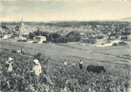 51 REIMS CHAMPAGNE POMMERY LES VENDANGES - Reims