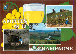 51 AMITIES DE LA CHAMPAGNE MULTIVUES - Andere & Zonder Classificatie