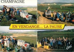 51 VENDANGES EN CHAMPAGNE LA PAUSE  MULTIVUES - Autres & Non Classés