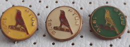 PTUJ 1976 Bird Society For Breeding Birds  Slovenia Vintage Pins - Animals
