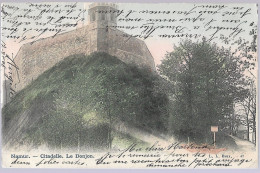 CPA CARTE POSTALE BELGIQUE  NAMUR CITADELLE  LE DONJON 1900 - Autres & Non Classés