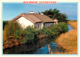 85 BOURRINE VENDEENNE - Autres & Non Classés