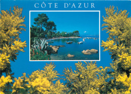 06 COTE D'AZUR - Autres & Non Classés