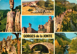 48 GORGES DE LA JONTE - Autres & Non Classés