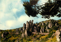 48 GORGES DU TARNROUTE DE MEYRUEIS - Gorges Du Tarn