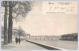 CPA CARTE POSTALE BELGIQUE  NAMUR LE PONT DE JAMBES VU DE LA PLANTE 1902 - Other & Unclassified