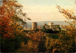 27 RUINES DE CHÂTEAU GAILLARD  - Les Andelys