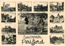 24 SOUVENIR EN PERIGORD  - Sonstige & Ohne Zuordnung