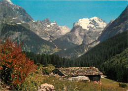 73 LES ALPES VIEUX CHALET  - Autres & Non Classés