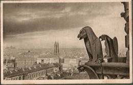 75 - PARIS - Vue Panoramique Prise De Notre-Dame - Les Gargouilles - Notre Dame Von Paris
