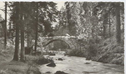 88196 01 03#0+15 - GERARDMER - LE PONT DES FEES SUR LA VOLOGNE - Gerardmer