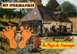 14 EN NORMANDIE PAYS DU FROMAGE  - Other & Unclassified