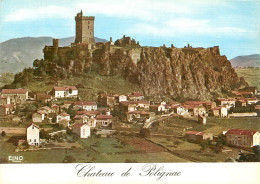 43 CHÂTEAU DE  POLIGNAC - Other & Unclassified