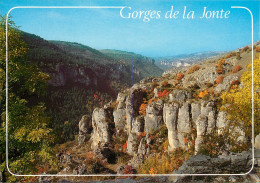 48 GORGES DE LA JONTE - Sonstige & Ohne Zuordnung