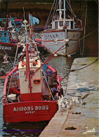 56 CHALUTIERS A QUAI AURAY - Auray