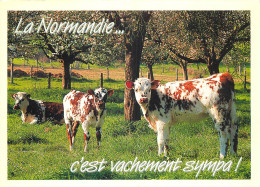 14 LA NORMANDIE  - Andere & Zonder Classificatie