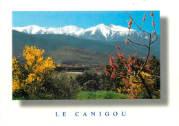 65 LE CANIGOU - Other & Unclassified