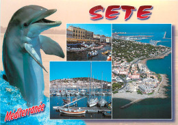 34 SETE MULMTIVUES - Sete (Cette)