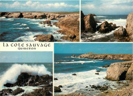 56 QUIBERON  - Quiberon