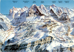 Jungfraugebiet - Panorama (7098) - Wengen