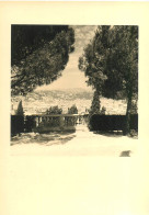290524 - PHOTO 1954 - NICE Vue Prise Du Vieux Château - Panorama's