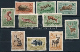 ** 1953 Erdei állatok Sor (5.000) - Sonstige & Ohne Zuordnung