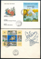 1980 Madarak - Védett Vízimadarak Vágott Blokk FDC-n + Európai Biztonsági és Együttműködési Értekezlet V. Vágott Blokk F - Autres & Non Classés