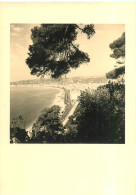290524 - PHOTO 1954 - NICE Vue Verticale Prise Du Vieux Château - Plage Avenue - Mehransichten, Panoramakarten