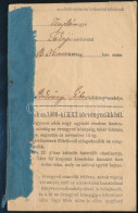 1868 Tokaj Környéki Községi Ingatlan Adókönyvecskéje. - Non Classés