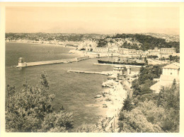 290524 - PHOTO 1954 - NICE Le Port - Transport (sea) - Harbour