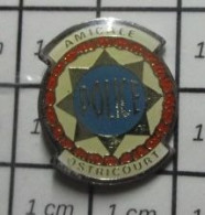 211B Pin's Pins / Beau Et Rare / POLICE / AMICALE POLICE OSTRICOURT - Police
