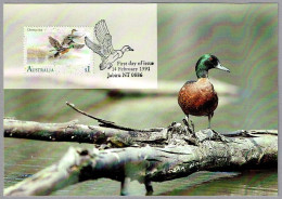 CERCETA DE PECHO CASTAÑO - Anas Castanea - Chestnut Teal. TM/MC Jabitu NT, Australia 1991 - Entenvögel