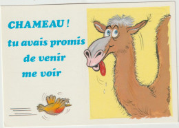 LD61 : Humour :  Illustrateur  , Alexandre ;  Chameau - Humor