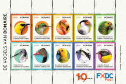 CARIBISCH NEDERLAND BONAIRE 2024 VOGELS BIRDS OISEAUX  ++ MNH POSTFRIS - Curaçao, Nederlandse Antillen, Aruba