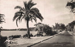 SENEGAL DAKAR LA ROUTE DE LA CORNICHE - Sénégal