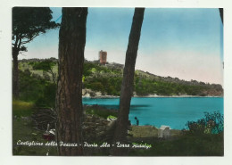 CASTIGLIONE DELLA PESCAIA - PUNTA ALA - TORRE HIDALGO - VIAGGIATA FG - Grosseto